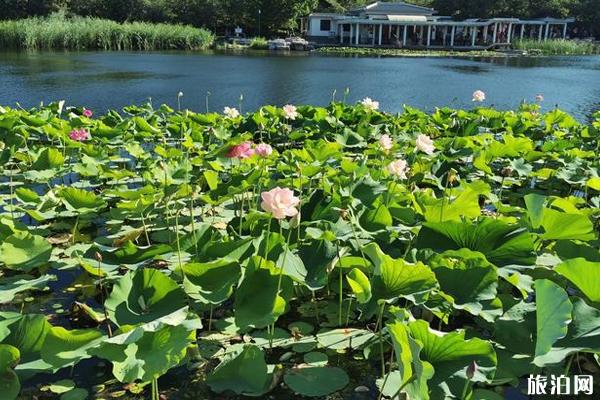 北京纳凉好地方推荐