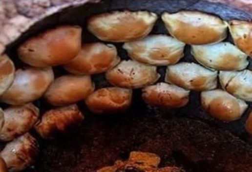 新疆乌鲁木齐知名特产有哪些 乌鲁木齐知名特产推荐