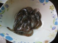 河虾韭菜蛋饼的做法步骤1
