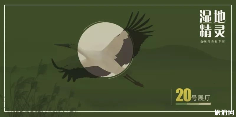 2019山东文化惠民消费季济南场馆有哪些展览可以看