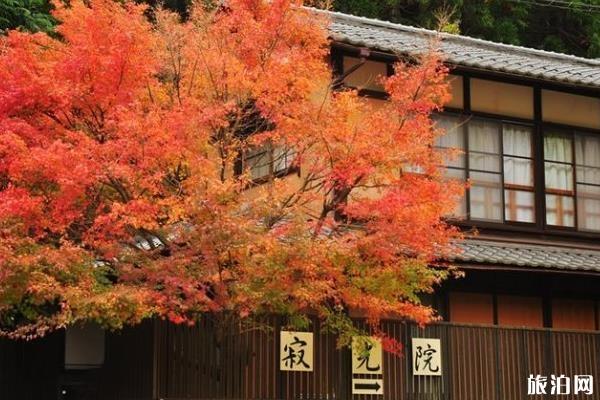 2019日本京都赏枫叶景点推荐+最佳时间