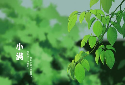 小满是什么意思