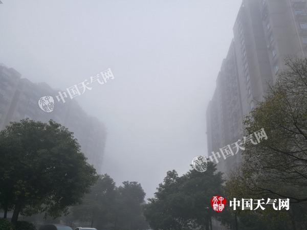 浙江今晨大雾弥漫杭州能见度仅100米 明后天全省再迎雨