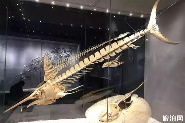 国家海洋博物馆有几个展厅