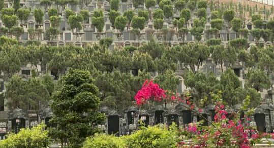 清明节佛山暂停聚集性祭扫活动 市内墓园实行交通管制措施
