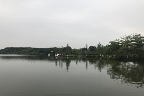 广州钓鱼的地方 广州哪些地方可以钓鱼