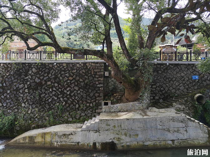 景宁东坑镇爱情小镇游玩攻略 爱情小镇在哪里