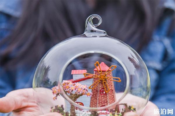 荷兰有哪些值得购物的物品   2019必买购物清单