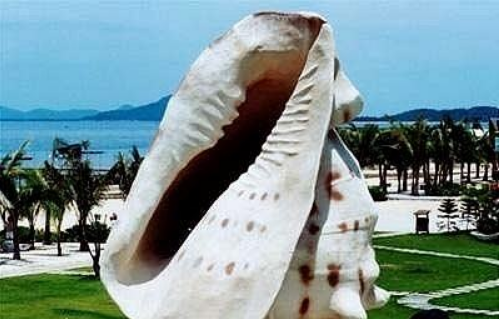 三亚亚龙湾贝壳馆游玩攻略