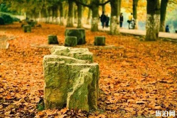 贵州秋游景点有哪些好玩的地方 贵州秋游景点有哪些好玩的地方