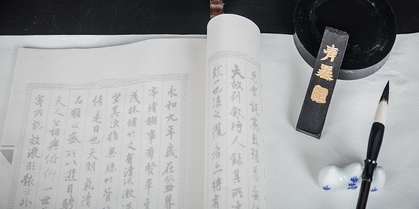 玳瑁是什么 玳瑁是哪种动物