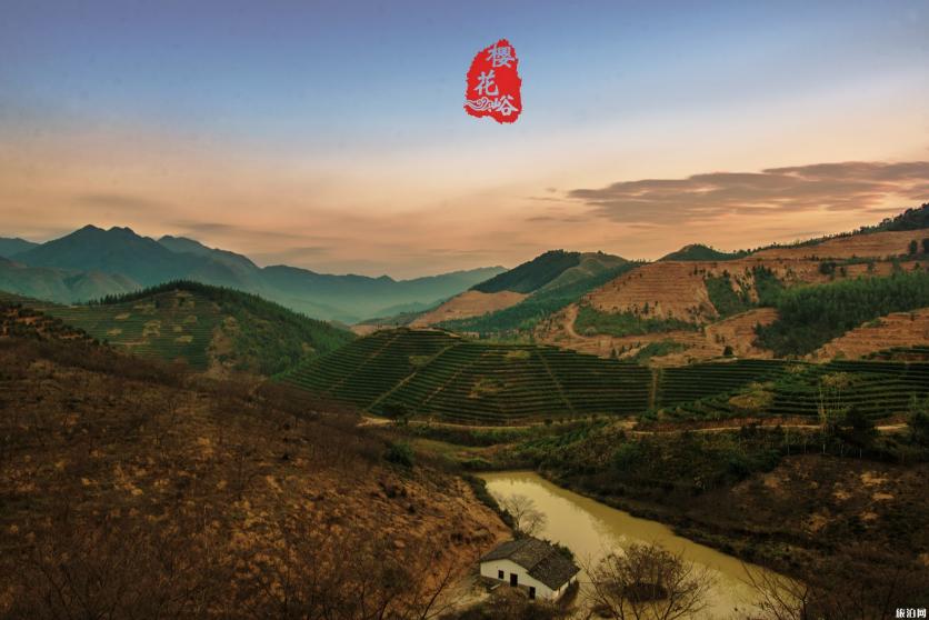 韶关樱花峪有什么好玩的