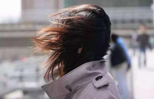 北方多地大风天气频现 如何防御大风危害?