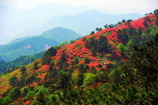 春天最适合去哪里旅游 春季旅游最佳去处