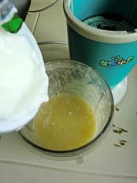 哈密瓜葡萄酸奶的做法步骤5