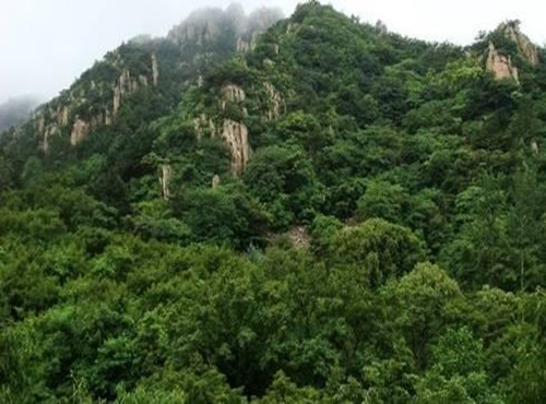 南平九峰山好玩吗