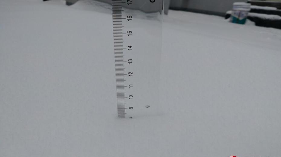 乌鲁木齐迎入冬以来最大降雪 出门要保暖