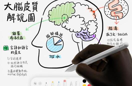 Apple Pencil新专利是什么情况 Apple Pencil新专利是什么