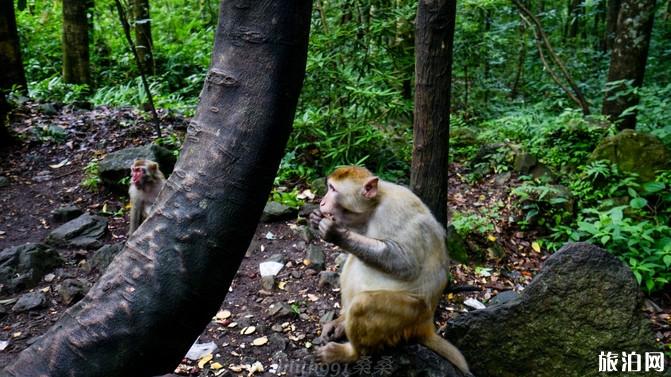 张家界四日游攻略路线