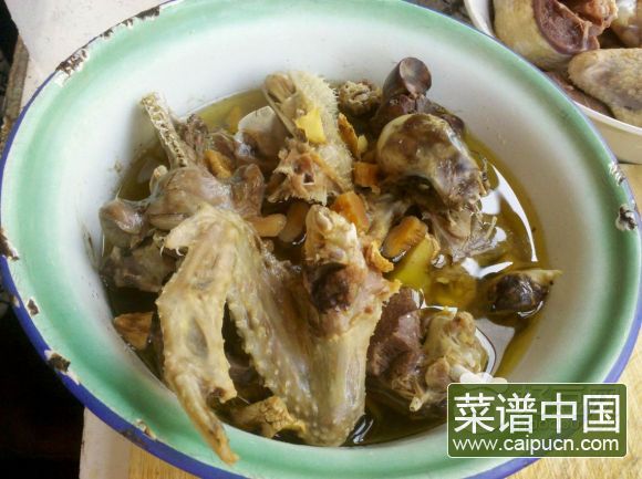 天麻炖鸽子