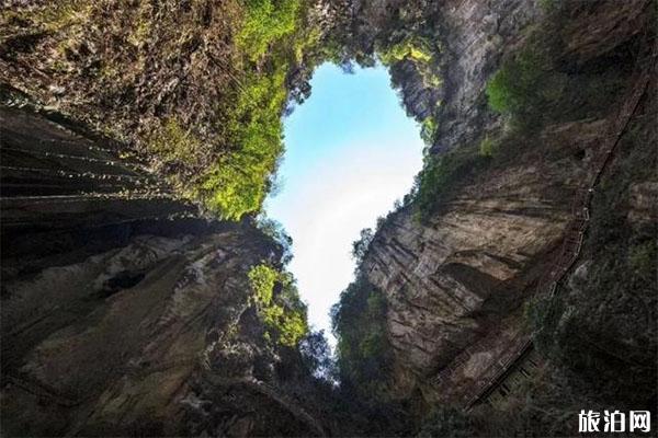 贵阳至九洞天有多少公里 贵州各地去九洞天的距离+九洞天石头开花是怎么回事