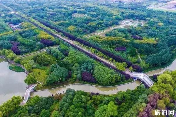 洛阳避暑有哪些地方不错