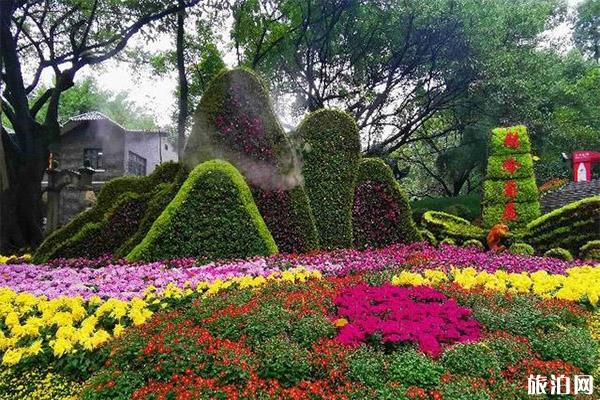2019重庆鹅岭公园菊花展10月25日开启 附菊花展信息