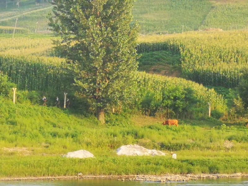 临江一日游旅游攻略 临江一日游旅游攻略