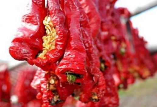 新疆巴音郭楞博湖县知名特产有哪些 博湖县特产推荐