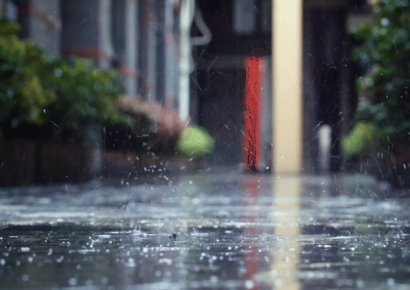 山东今明两天有强降雨 伴有7到9级阵风