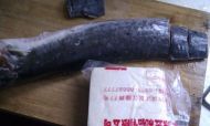 鲶鱼炖豆腐的做法步骤1