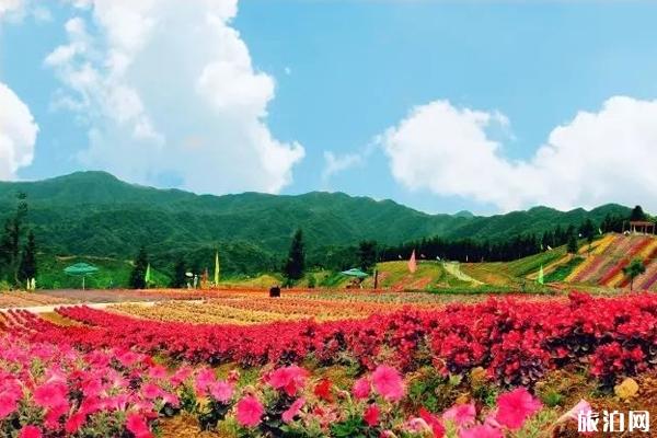 ​重庆云中花都有什么好玩的