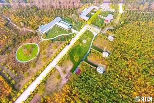 旺森星空露营基地价格