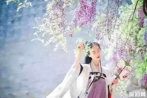 2019国庆节英山四季花海门票免费政策+有什么活动
