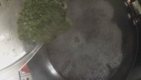 马齿笕鸡蛋羹的做法步骤4