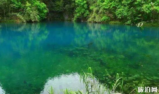 荔波旅游攻略景点必去有哪些