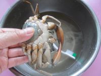 海鲜粥的做法步骤5