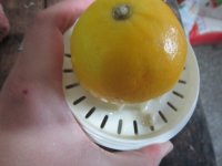自制奶油奶酪的做法步骤2