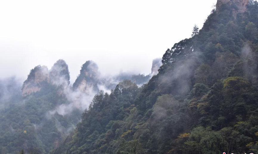 美不胜收！张家界武陵源雨后现云海 飘渺似仙境