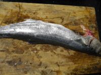 熏鲅鱼的做法步骤1