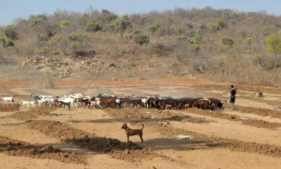 新研究：气象干旱可能导致了古印度文明衰落