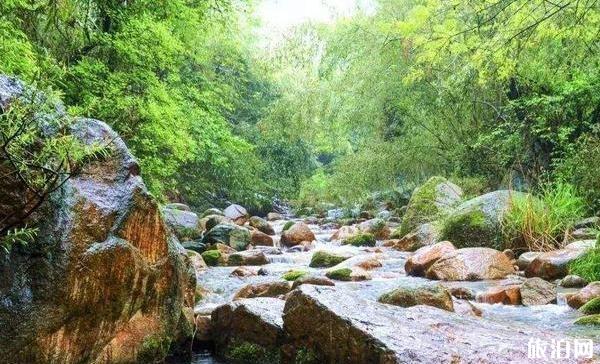 河南适合避暑的地方推荐