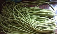 自制泡菜的做法步骤1