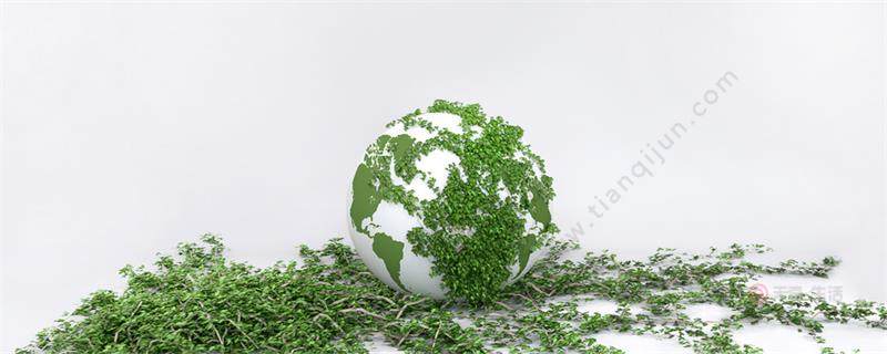 常春藤怎么养