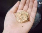 香菜丸子豆腐汤的做法步骤4