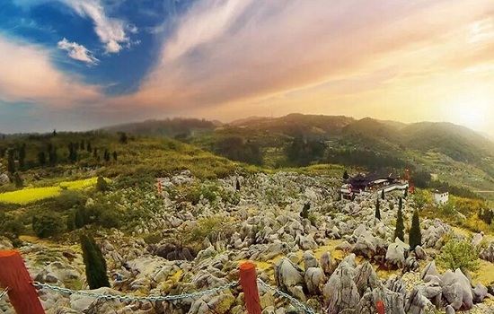 芜湖赏花踏青有哪些地方