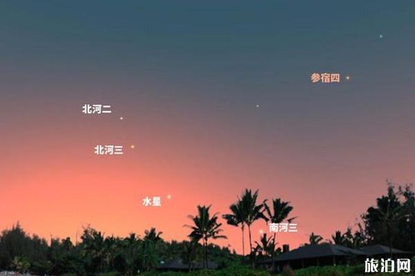 2019年八月流星雨具体时间+介绍 2019年八月流星雨具体时间+介绍