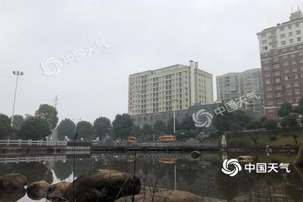 1550544642707016319_副本.jpg