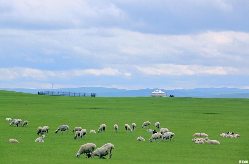 呼伦贝尔包车旅游价格 呼伦贝尔美食推荐 呼伦贝尔包车旅游价格 呼伦贝尔美食推荐