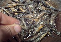 香椿煎泥鳅的做法步骤9